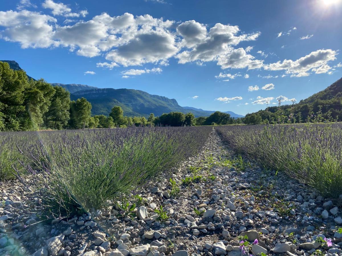 Gite En Haute Provence Montfroc Esterno foto