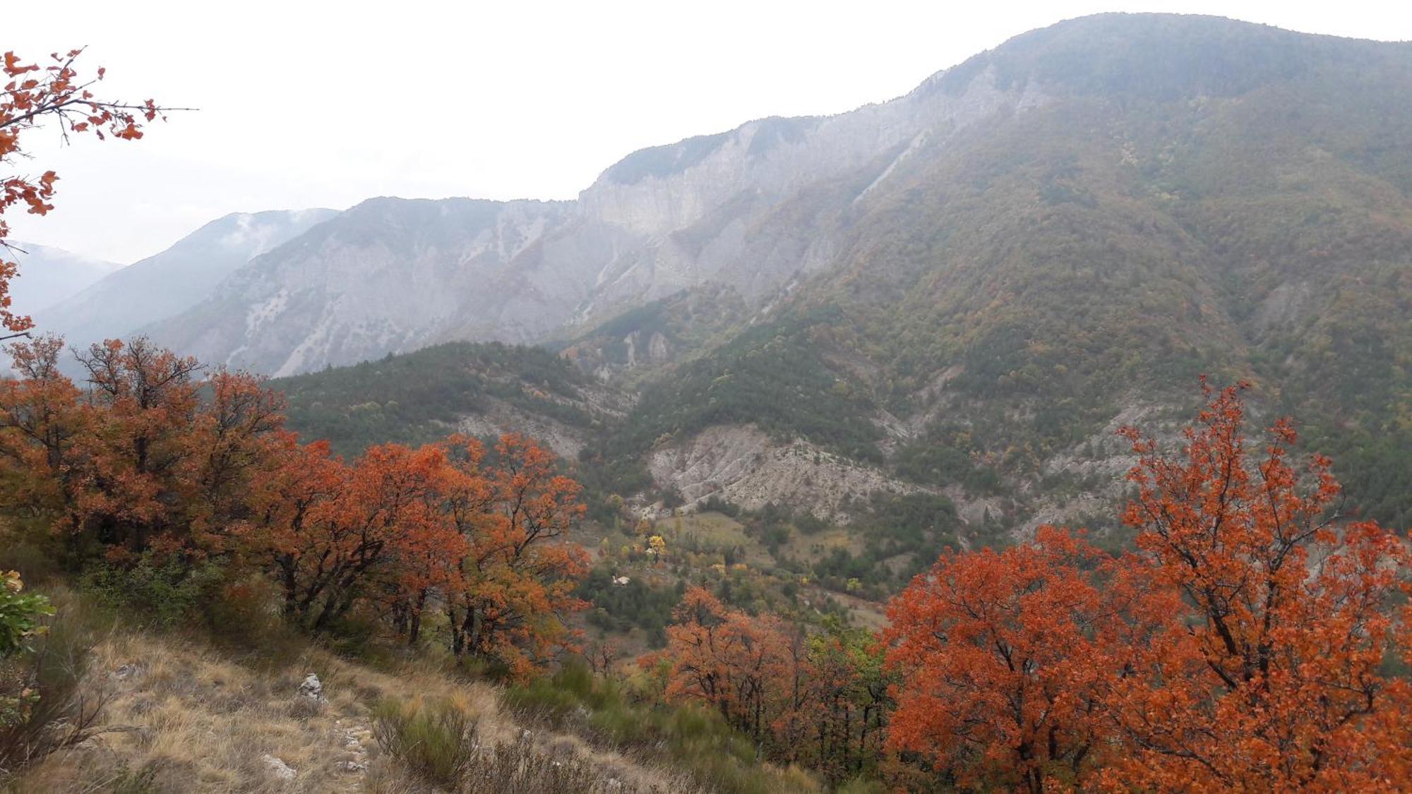 Gite En Haute Provence Montfroc Esterno foto