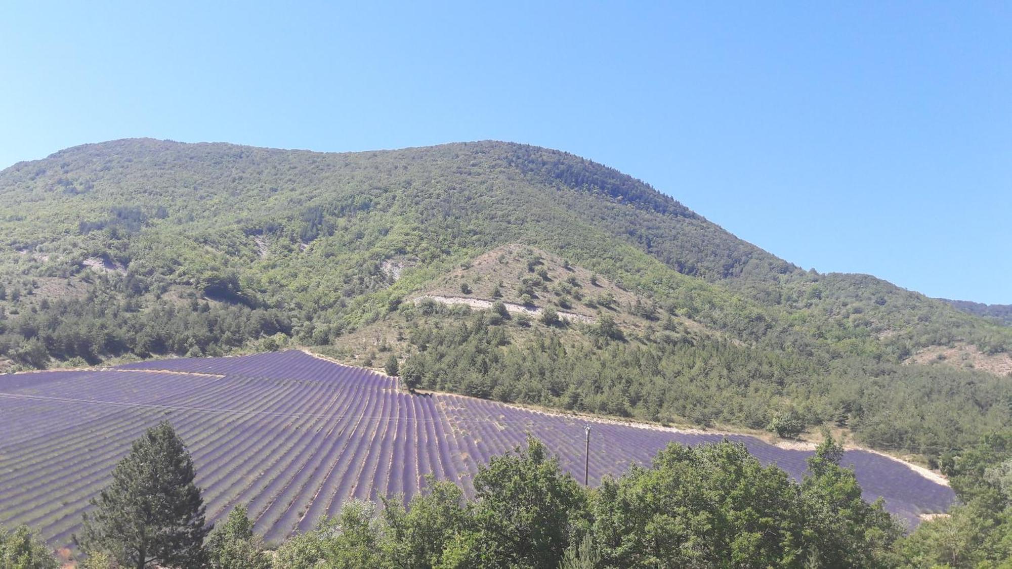 Gite En Haute Provence Montfroc Esterno foto